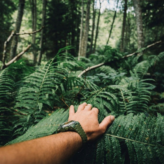 Into the wild: close-up of a hand in the green rainforest | Mural