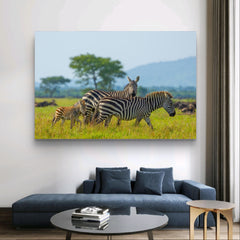 Plains Zebra female with a foal in Western Serengeti | Mural