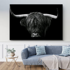 Horned Highland Cattle: Close-up of a domestic cow on a black background