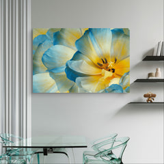 Tulips blooming yellow-blue. Floral background. Nature | Mural