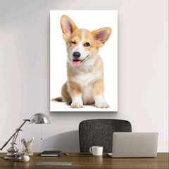 Happy Welsh Corgi Welsh, panting and sitting isolated on white | Wall Mural